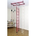Monkey Gym Standard (with 1 protective mat)
