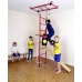 Monkey Gym Standard (with 1 protective mat)